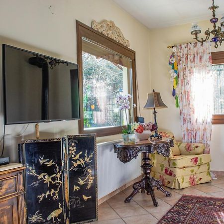 شقة Sofia'S House PalaiónTsiflíkion المظهر الخارجي الصورة