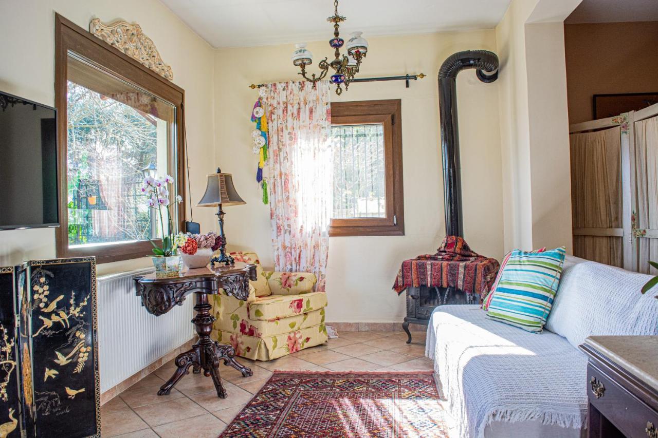 شقة Sofia'S House PalaiónTsiflíkion المظهر الخارجي الصورة