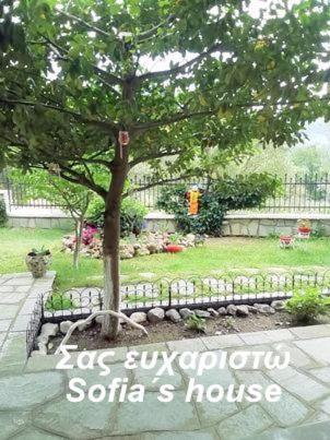 شقة Sofia'S House PalaiónTsiflíkion المظهر الخارجي الصورة