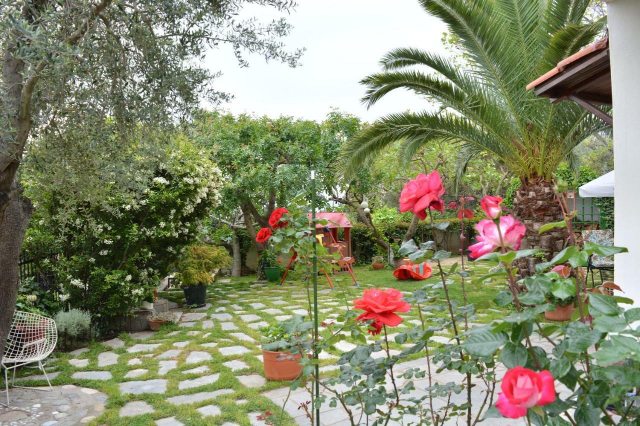 شقة Sofia'S House PalaiónTsiflíkion المظهر الخارجي الصورة